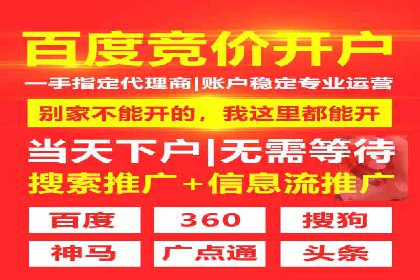 SEM专员实战案例解析